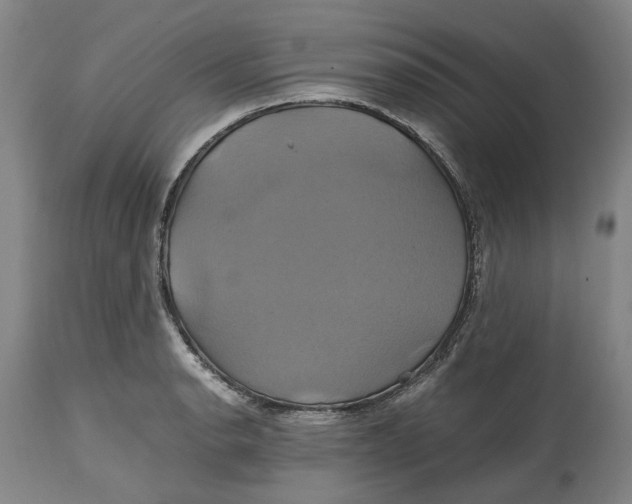 X0000114701134200911121534