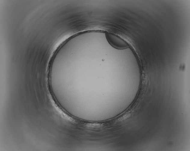 X0000114701135200911121534