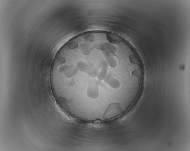 X0000114701137200911121534