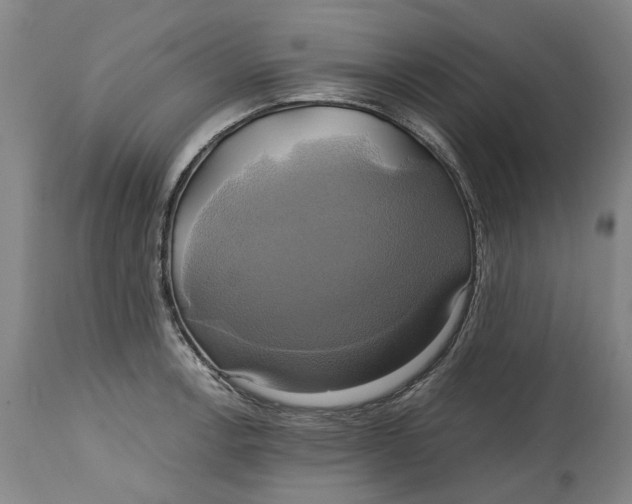 X0000114701138200911121534