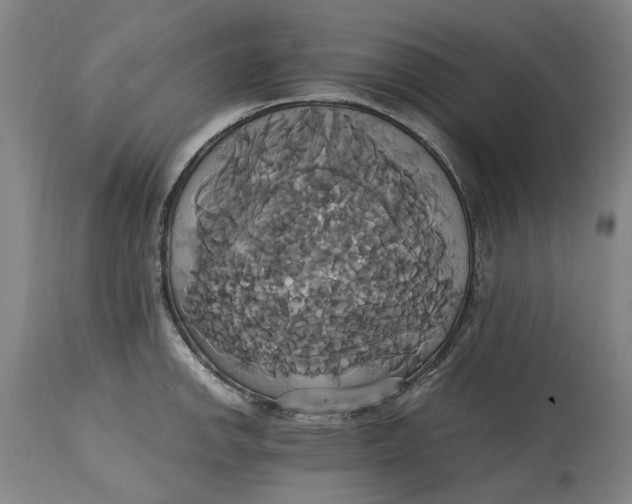 X0000114701142200911121534