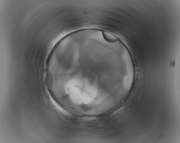 X0000114701143200911121534