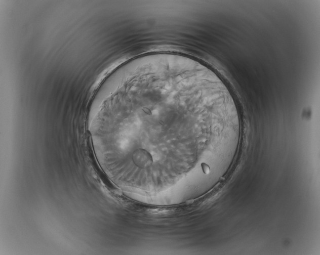 X0000114701145200911121534