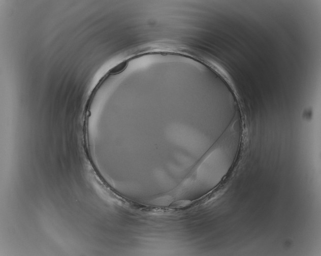 X0000114701146200911121534