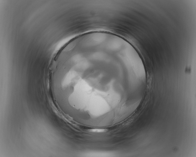 X0000114701151200911121534