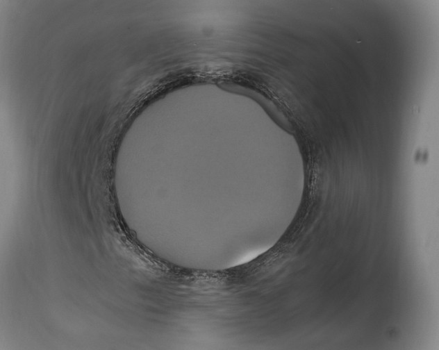 X0000114701153200911121534