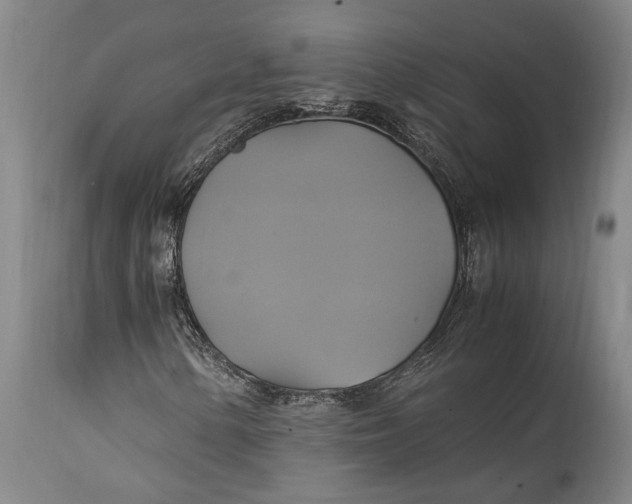 X0000114701154200911121534