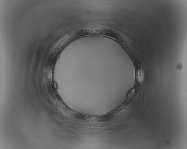 X0000114701155200911121534