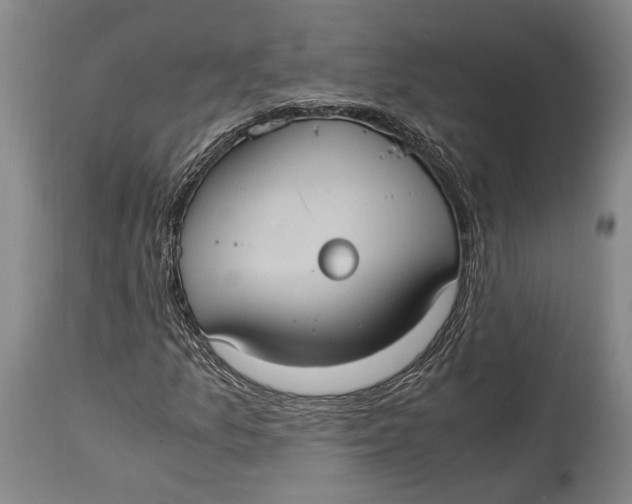 X0000114701157200911121534