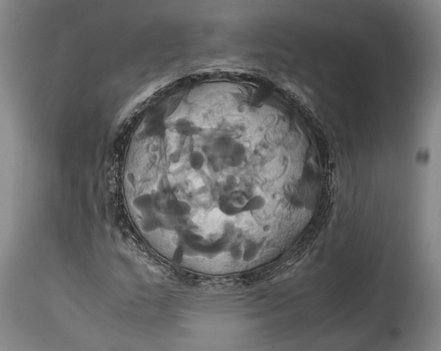 X0000114701159200911121534