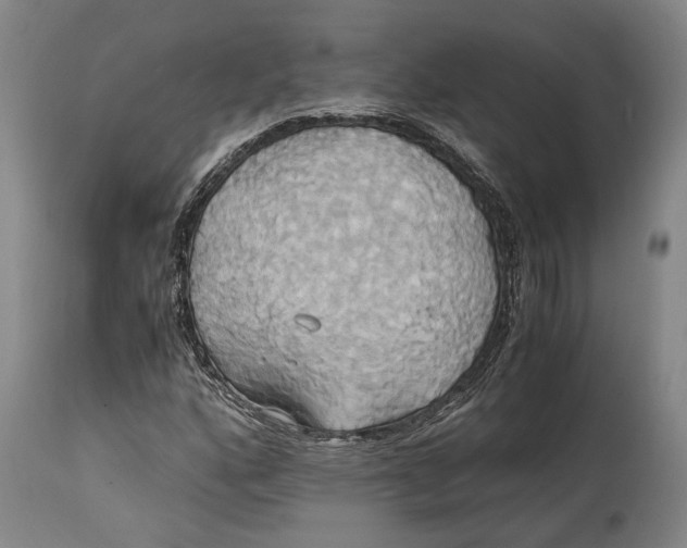 X0000114701160200911121534