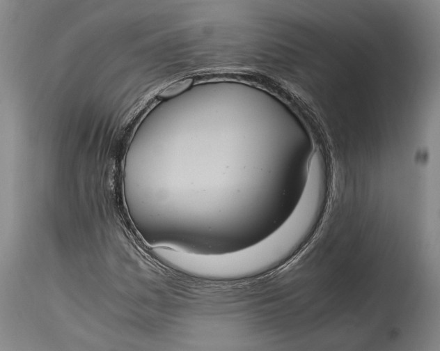 X0000114701161200911121534