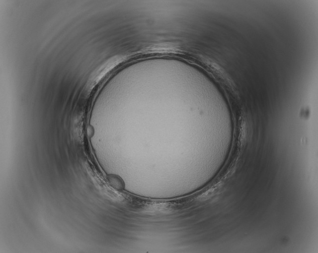 X0000114701162200911121534