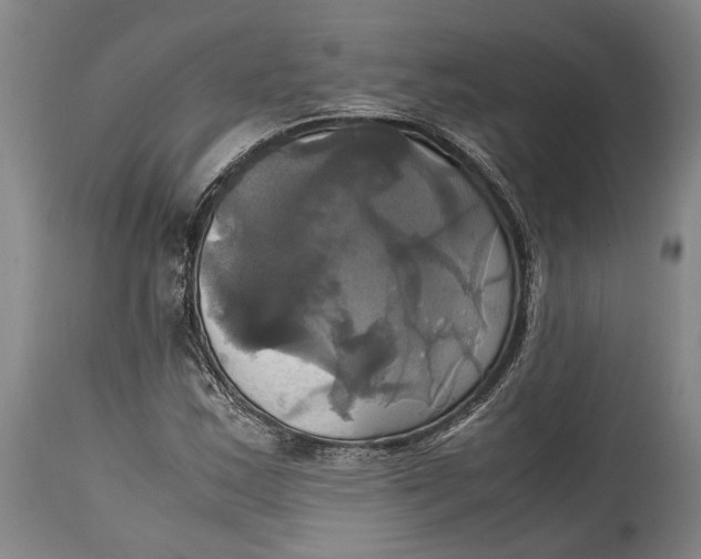 X0000114701163200911121534