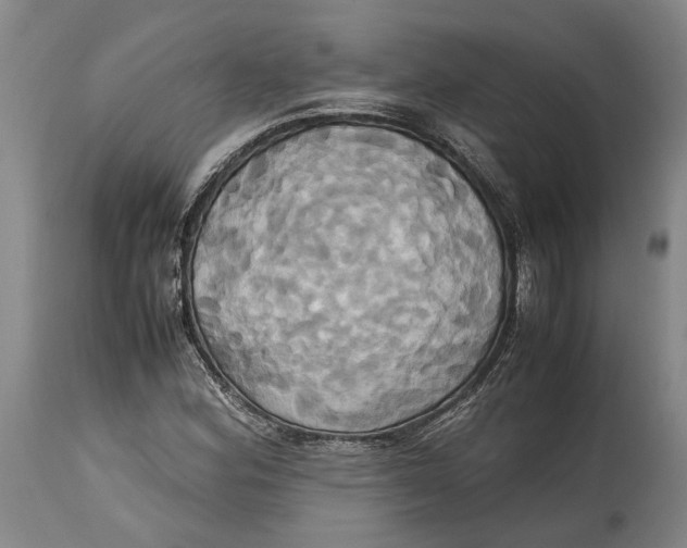 X0000114701164200911121534