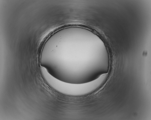 X0000114701167200911121533