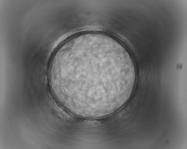 X0000114701168200911121533