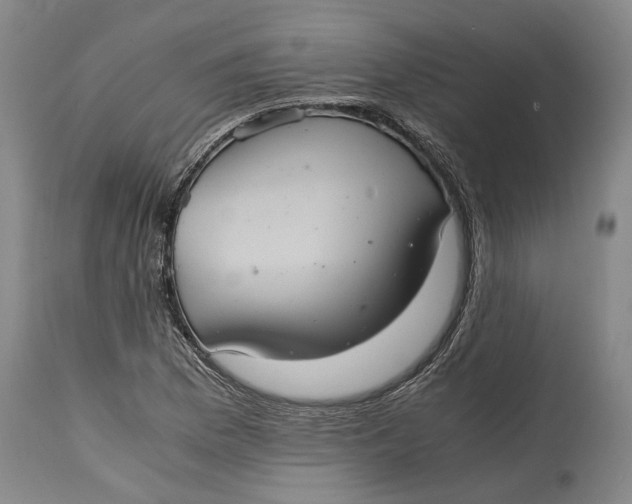 X0000114701169200911121533