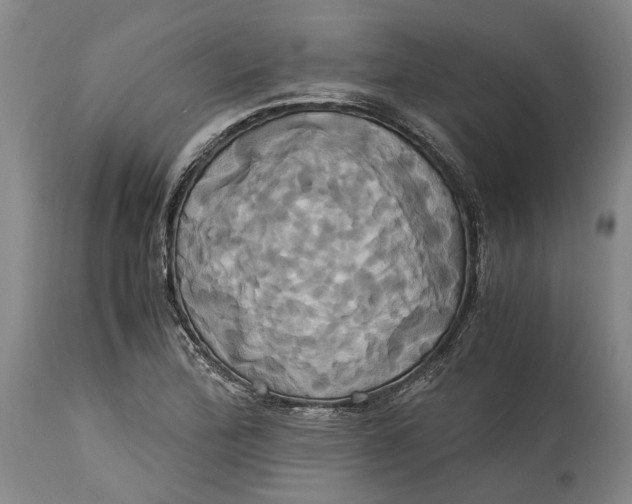 X0000114701172200911121533