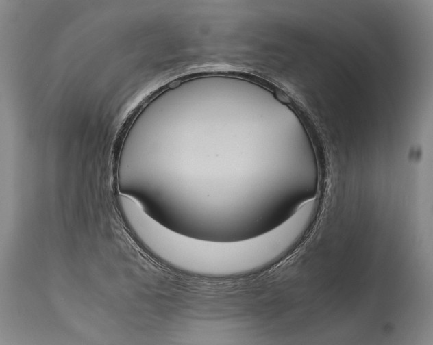 X0000114701173200911121533