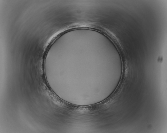 X0000114701174200911121533