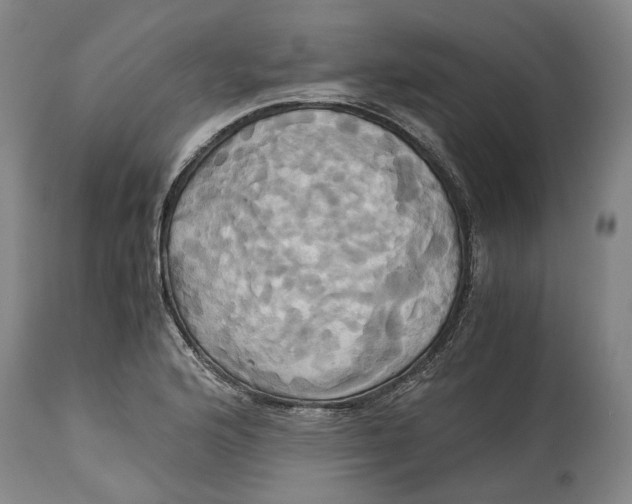 X0000114701176200911121533