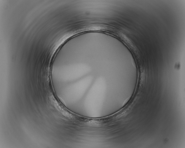 X0000114701178200911121533