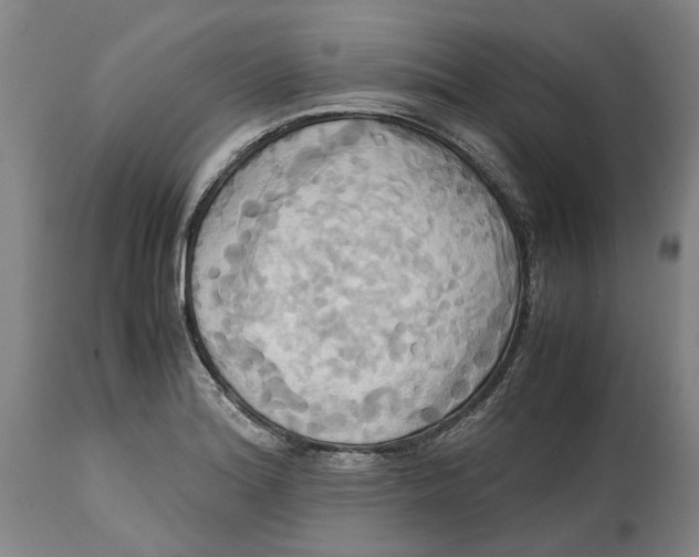 X0000114701180200911121533