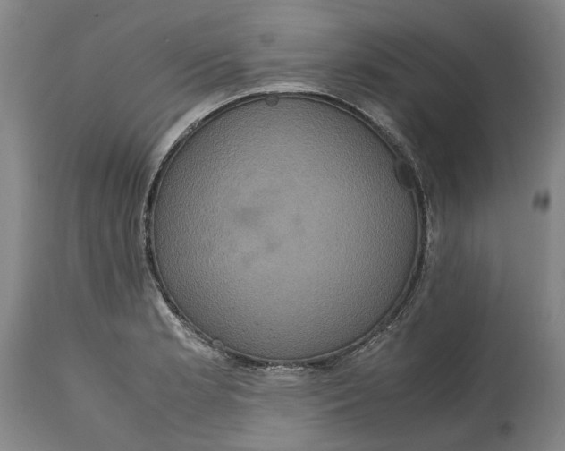 X0000114701181200911121533