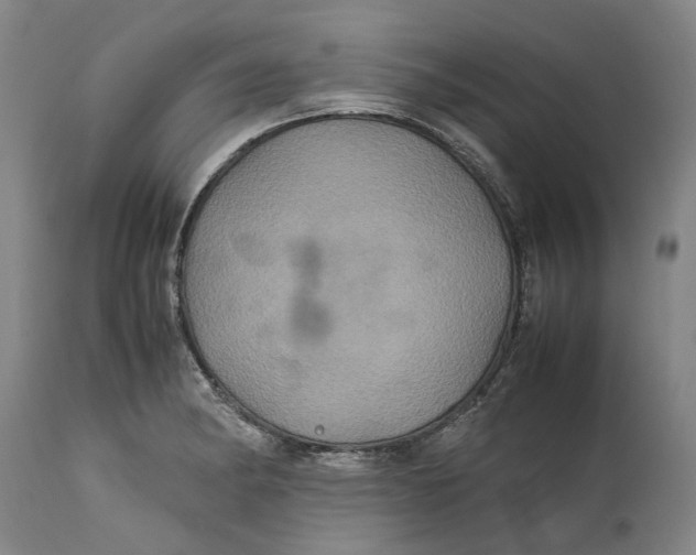 X0000114701182200911121533