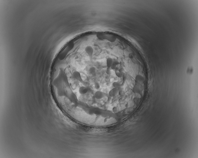 X0000114701183200911121533