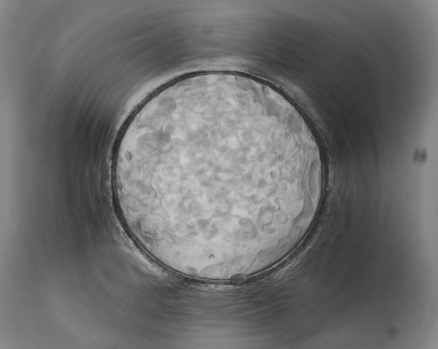 X0000114701184200911121533