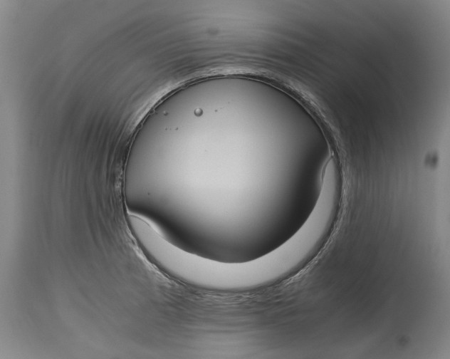 X0000114701185200911121533