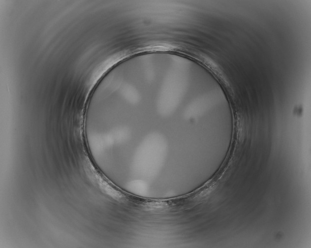 X0000114701186200911121533