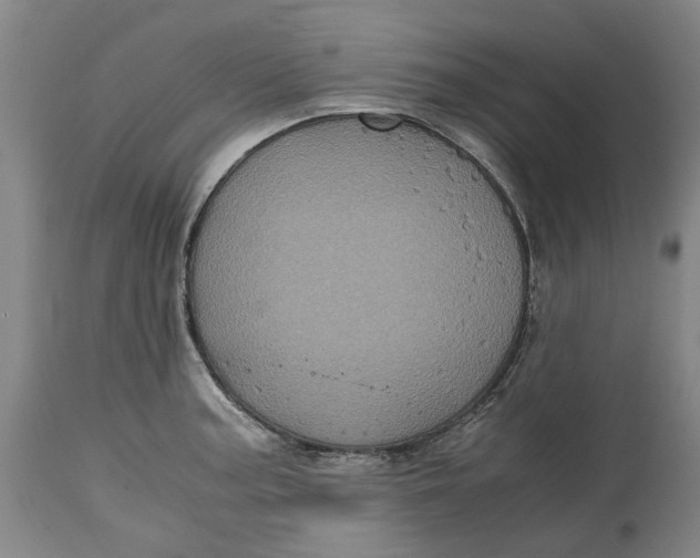 X0000114701187200911121533