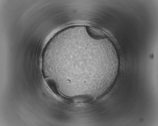 X0000114701188200911121533