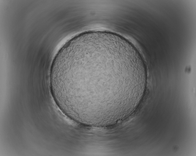 X0000114701191200911121533