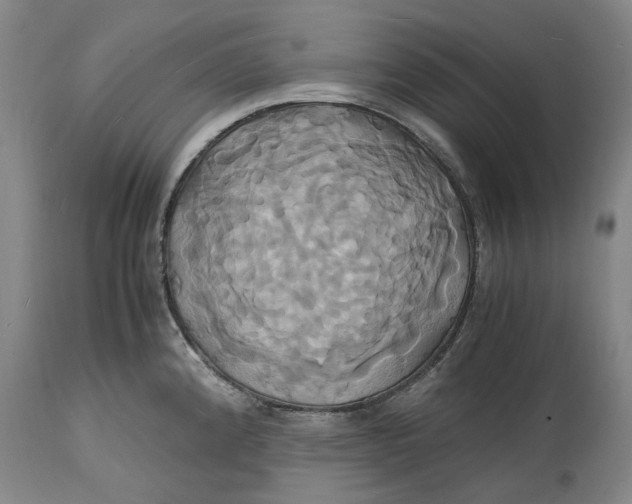 X0000114701192200911121533