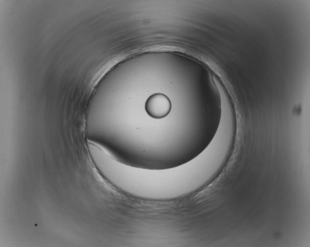 X0000114701193200911121533