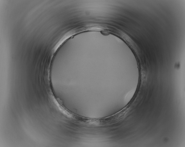 X0000114701194200911121533