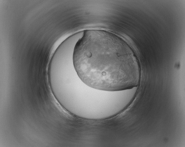 X0000114701196200911121533