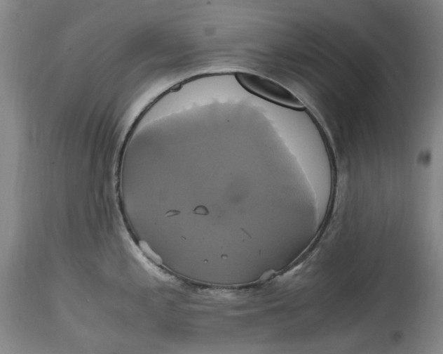 X0000114701197200911121533