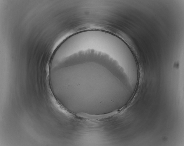 X0000114701198200911121533