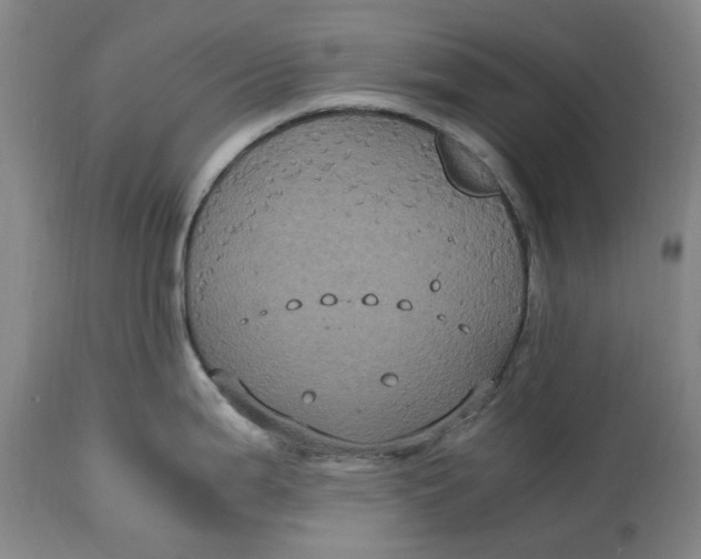 X0000114701199200911121533