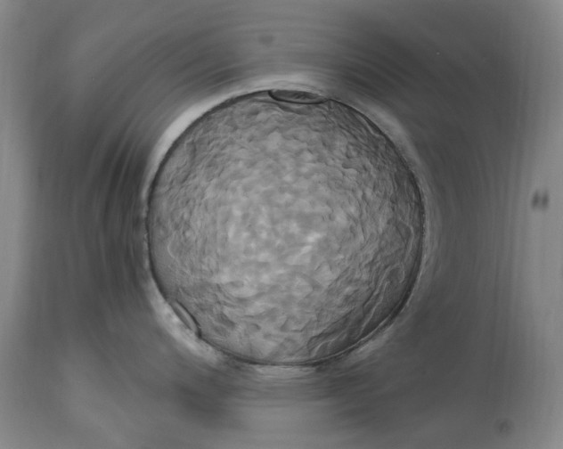 X0000114701200200911121533