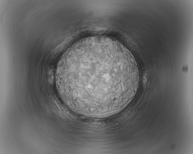 X0000114701204200911121532