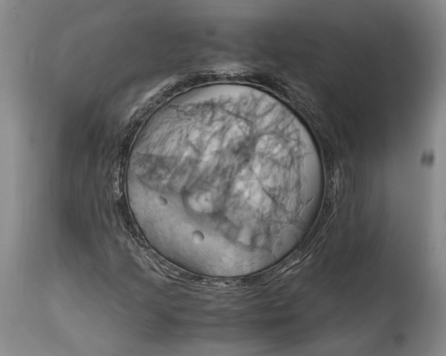 X0000114701205200911121532