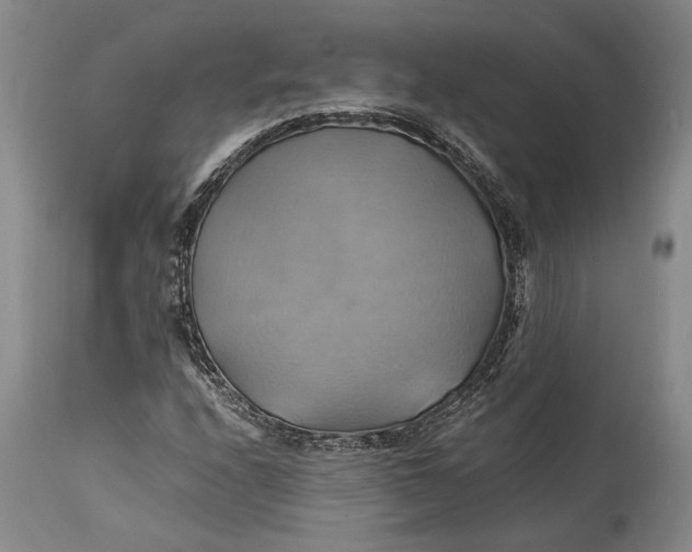 X0000114701208200911121532