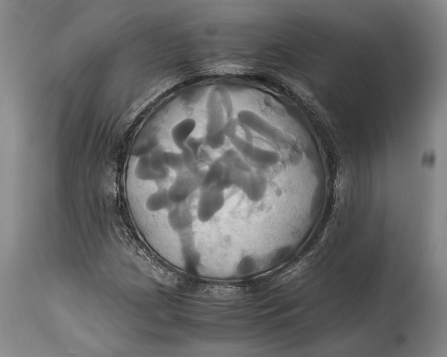 X0000114701209200911121532