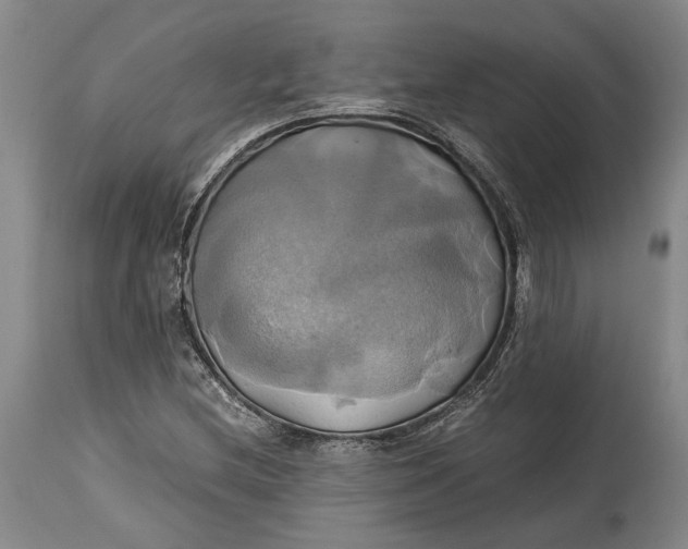 X0000114701212200911121533